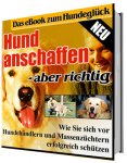 Hund anschaffen – aber richtig