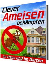 Clever Ameisen bekämpfen - Im Haus und im Garten