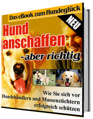 Hund anschaffen – aber richtig - zum Schließen ins Bild klicken